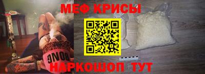 индика Гатчина