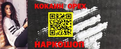 индика Гатчина