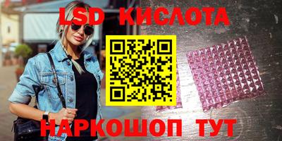 индика Гатчина