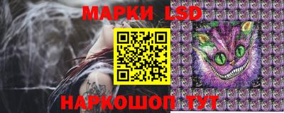 индика Гатчина