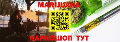 индика Гатчина