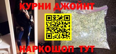 индика Гатчина