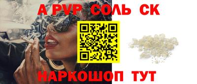 индика Гатчина