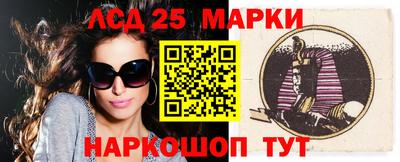 индика Гатчина