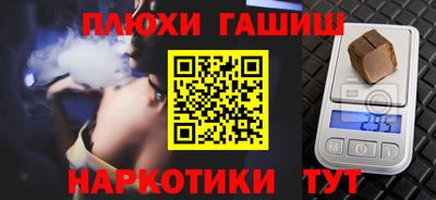 индика Гатчина