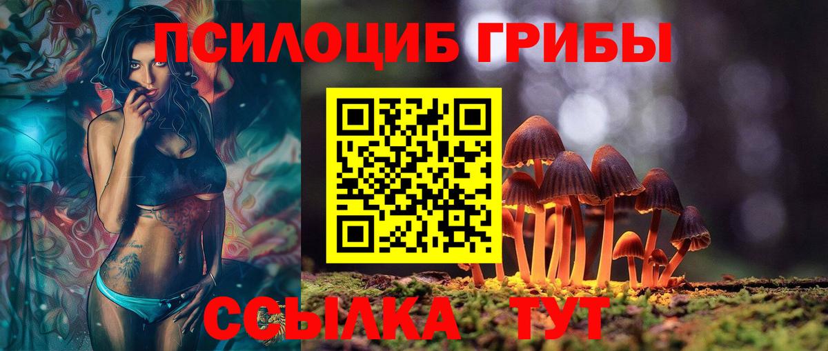 Галлюциногенные грибы Psilocybe  наркошоп  Добрянка  Псилоцибиновые грибы прущие грибы  Вход с VPN 